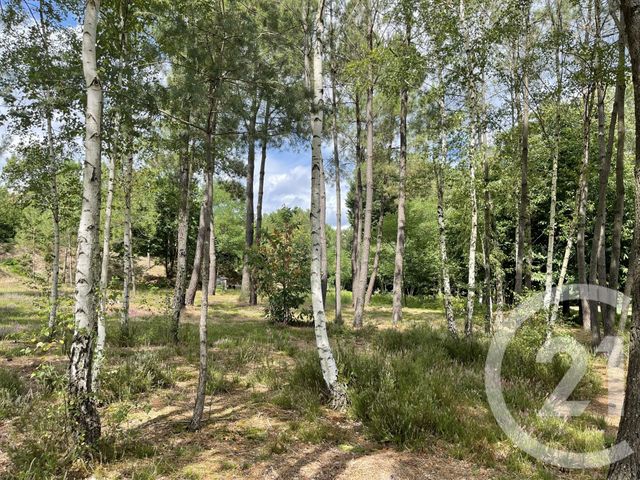 terrain à vendre - 4740.0 m2 - PARIGNE LE POLIN - 72 - PAYS-DE-LOIRE - Century 21 Harmony