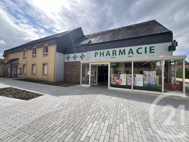 immeuble - RUAUDIN - 72