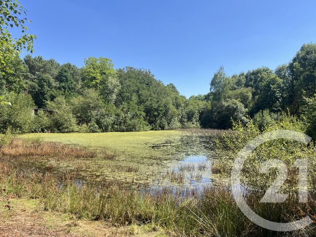 maison à vendre - 5 pièces - 181.0 m2 - PARIGNE L EVEQUE - 72 - PAYS-DE-LOIRE - Century 21 Harmony