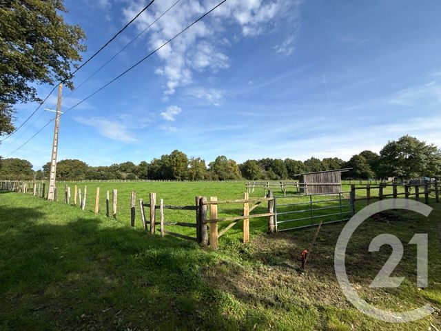 maison à vendre - 5 pièces - 166.08 m2 - RUAUDIN - 72 - PAYS-DE-LOIRE - Century 21 Harmony