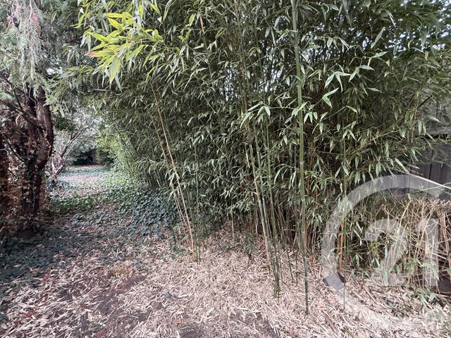 maison à vendre - 4 pièces - 68.51 m2 - LE MANS - 72 - PAYS-DE-LOIRE - Century 21 Harmony