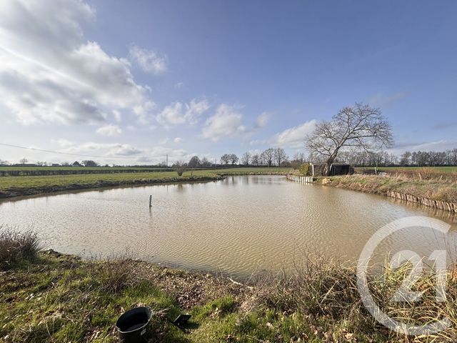 terrain à vendre - 16958.0 m2 - JOUE L ABBE - 72 - PAYS-DE-LOIRE - Century 21 Harmony